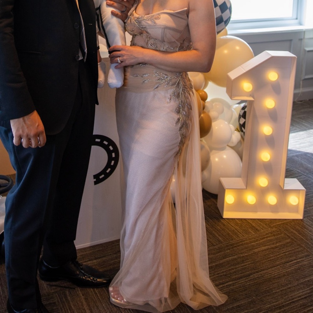 Terani Dress - Picture 2 of 4